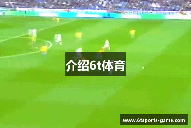介绍6t体育